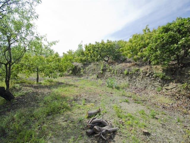 Image No.2-Finca for sale