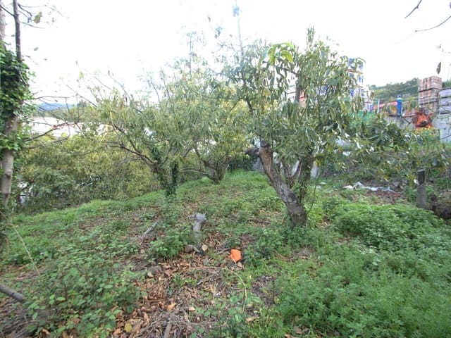 Image No.2-Land for sale