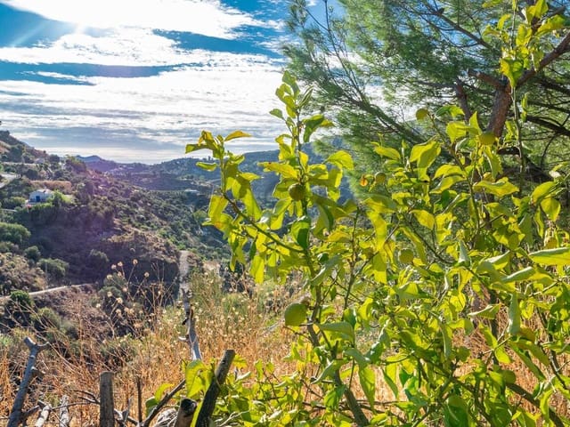 Image No.9-2 Bed Finca for sale