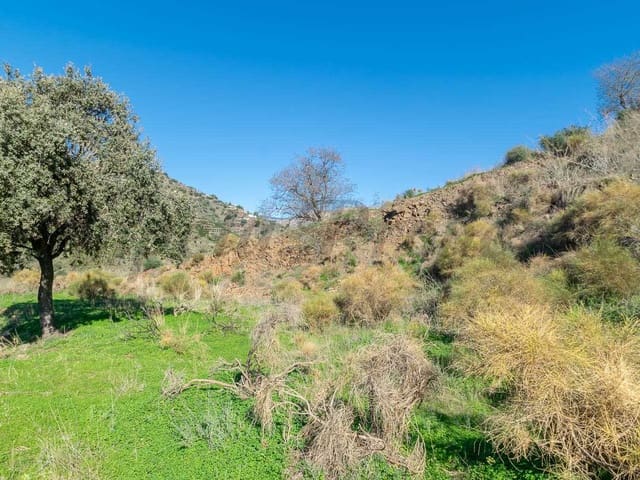 Image No.7-Land for sale