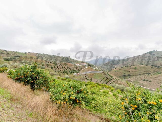 Image No.10-Land for sale