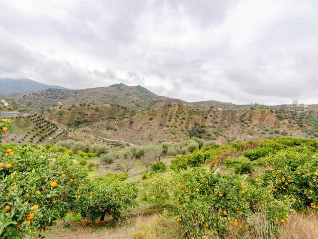 Image No.11-Land for sale