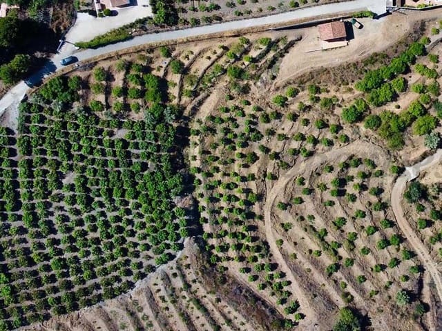 Image No.13-1 Bed Finca for sale