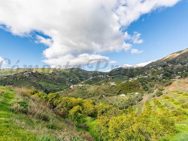 Image No.5-1 Bed Finca for sale