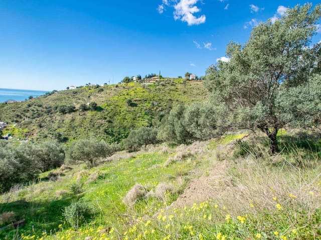 Image No.11-Land for sale