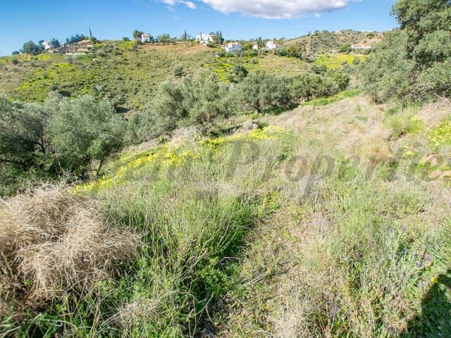 Image No.7-Land for sale