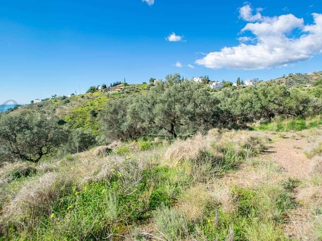 Image No.8-Land for sale