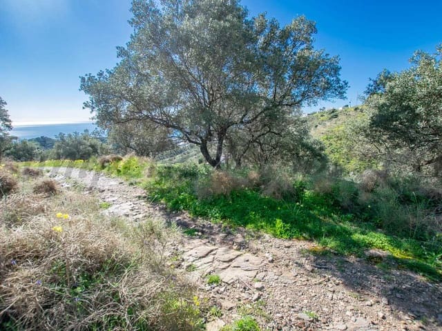 Image No.9-Land for sale