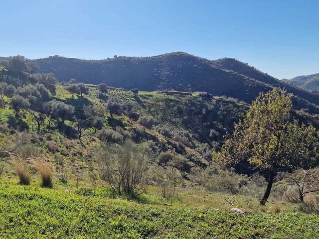 Image No.34-8 Bed Property for sale