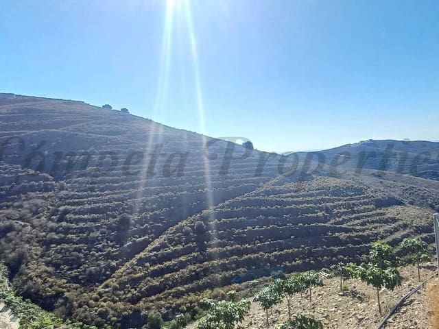 Image No.2-Land for sale