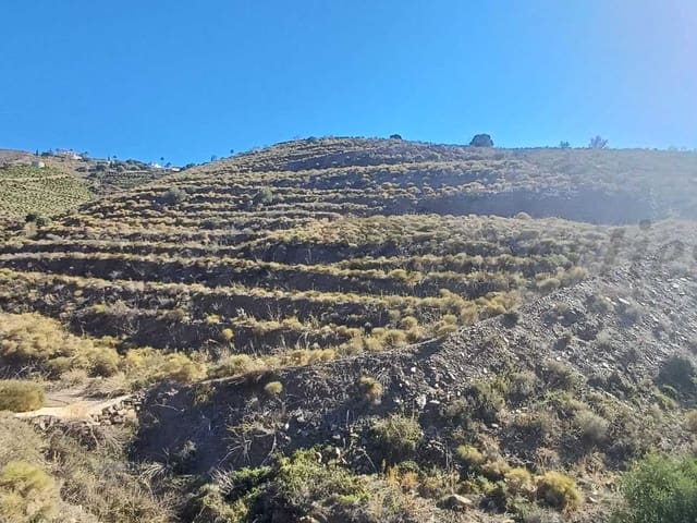 Image No.5-Land for sale