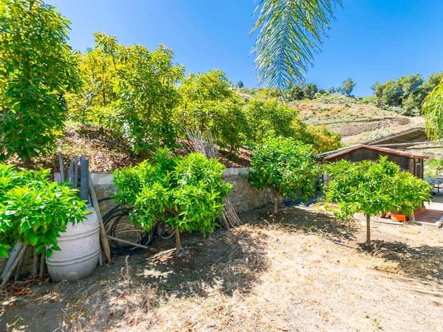 Image No.12-Finca for sale