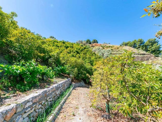 Image No.18-Finca for sale