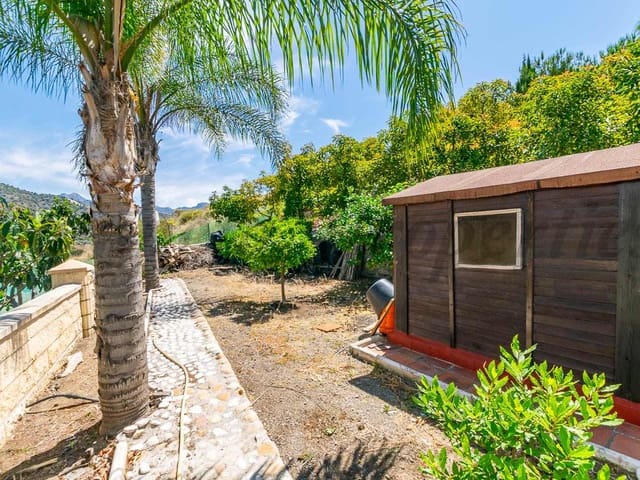 Image No.8-Finca for sale