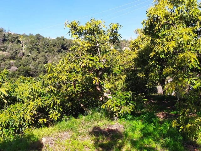 Image No.4-Land for sale