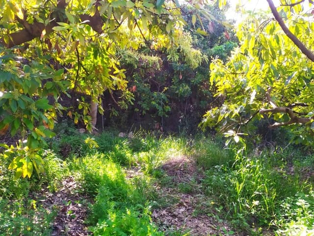 Image No.8-Land for sale