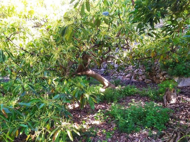 Image No.9-Land for sale