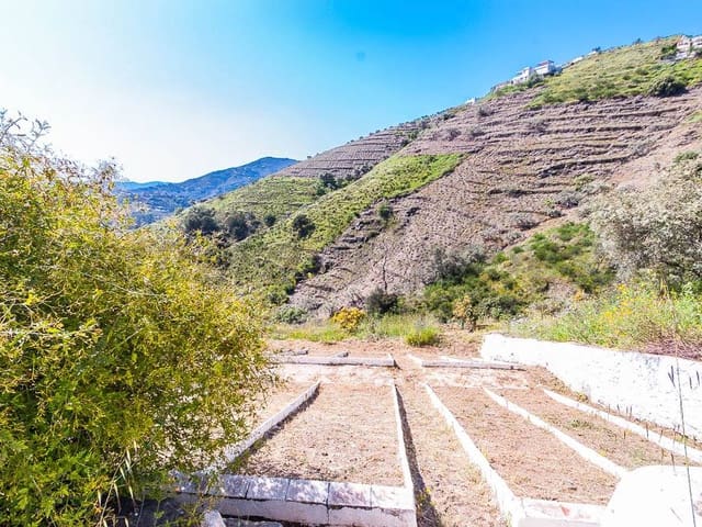 Image No.19-2 Bed Finca for sale