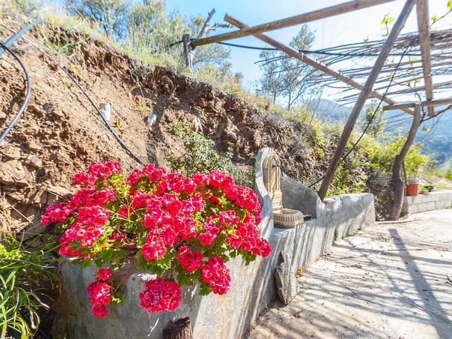 Image No.3-2 Bed Finca for sale