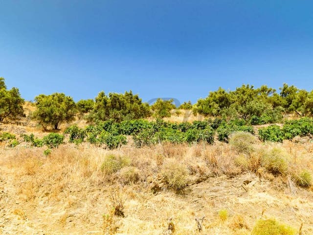 Image No.5-Land for sale