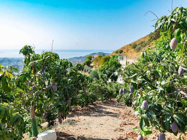 Image No.6-Land for sale