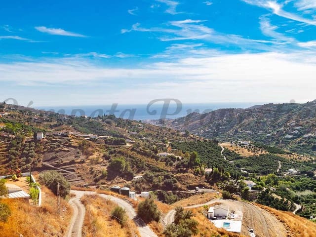 Image No.22-3 Bed Finca for sale