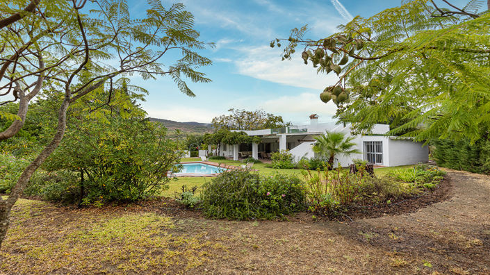 Image No.11-3 Bed Finca for sale