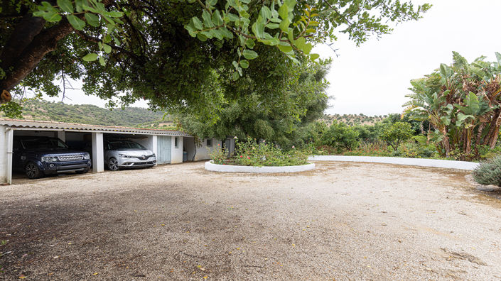 Image No.17-3 Bed Finca for sale