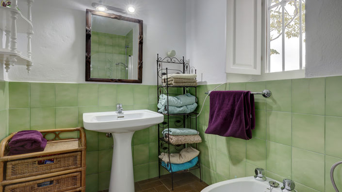 Image No.22-3 Bed Finca for sale