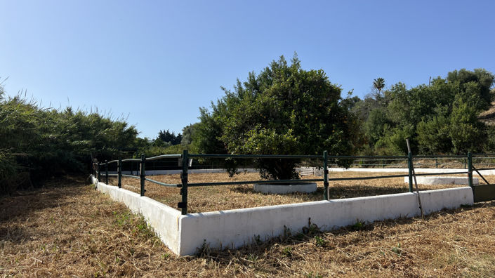 Image No.6-3 Bed Finca for sale