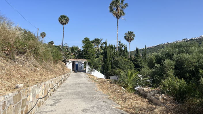 Image No.18-3 Bed Finca for sale