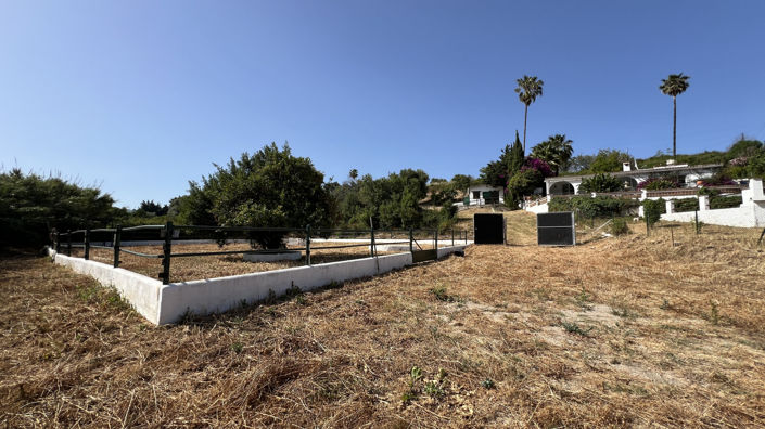 Image No.25-3 Bed Finca for sale