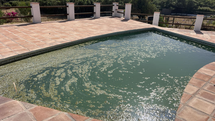 Image No.26-3 Bed Finca for sale