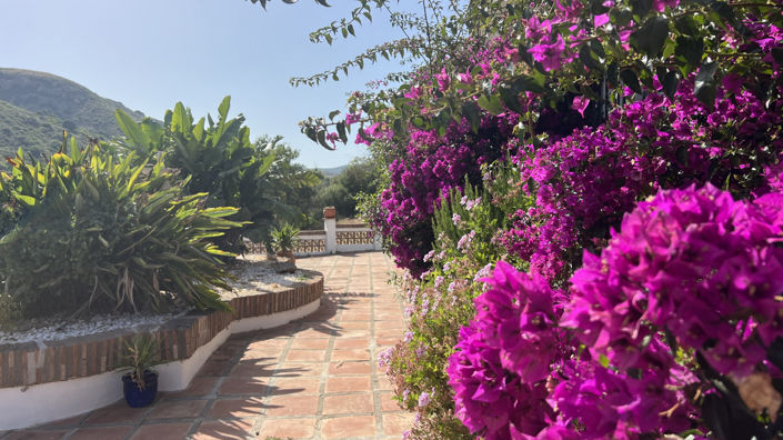 Image No.3-3 Bed Finca for sale