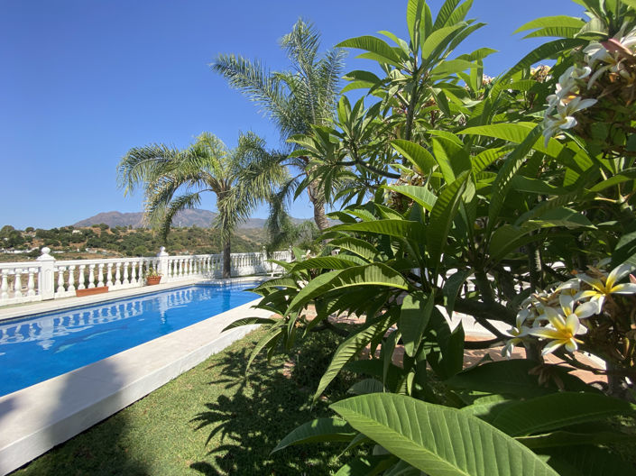 Image No.21-3 Bed Finca for sale