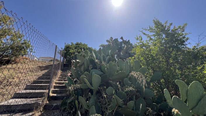 Image No.26-3 Bed Finca for sale