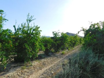 o1j098kchr1mq1j0bs38i0n1on91m