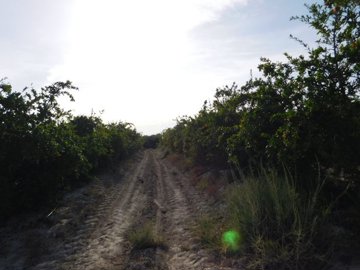 o1j097mg2l43ojra1j6f1h1avij2j