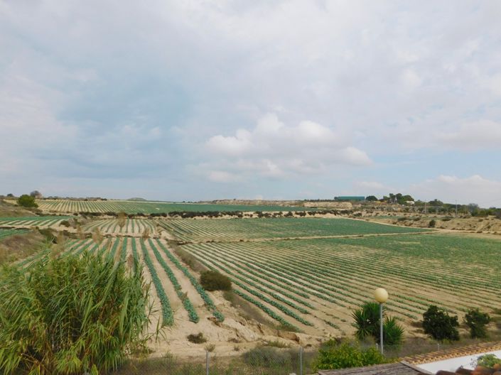 Image No.42-3 Bed Villa for sale