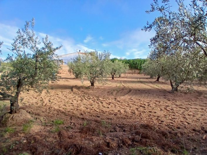 Image No.22-3 Bed Country House for sale