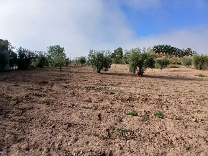 Image No.25-3 Bed Country House for sale