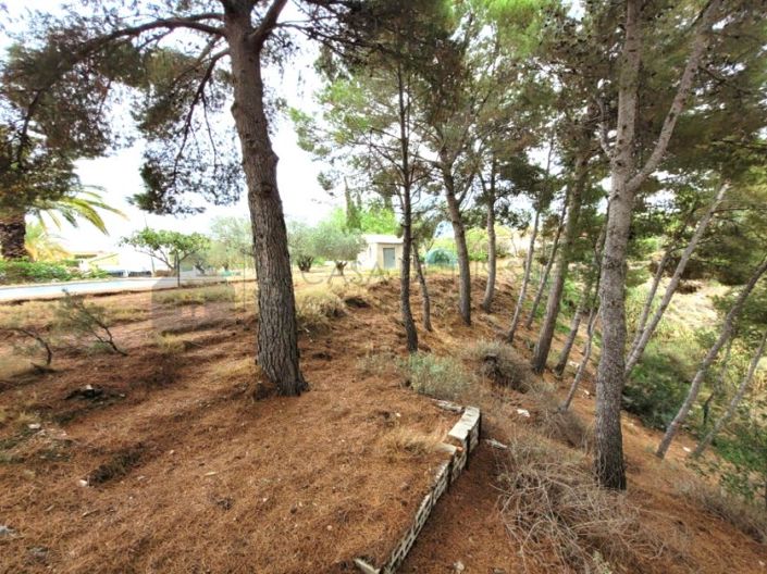 Image No.36-4 Bed Country House for sale