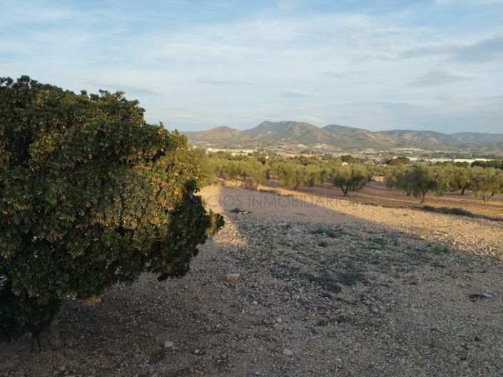 Image No.49-2 Bed Villa for sale