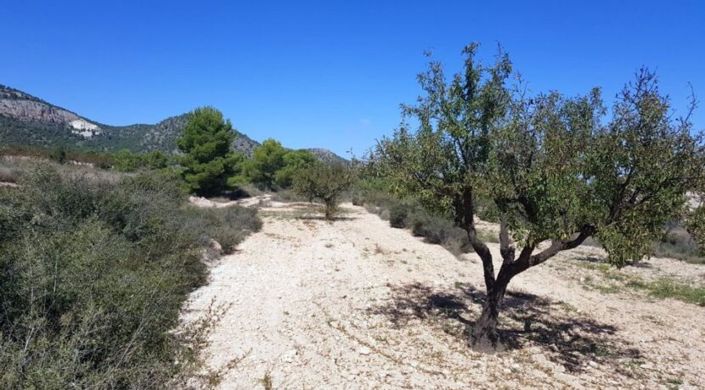 Image No.3-Land for sale