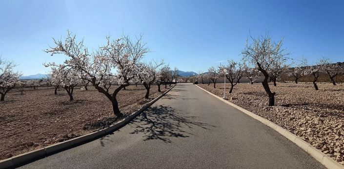 Image No.41-4 Bed Villa for sale