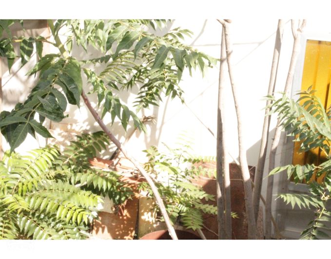 Image No.37-4 Bed Townhouse for sale