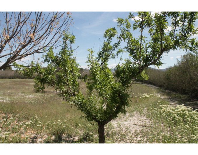 Image No.12-3 Bed Country House for sale