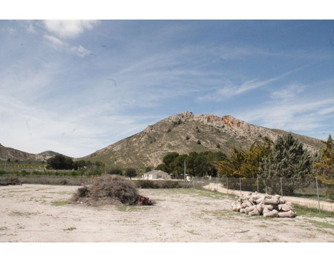 Image No.34-3 Bed Country House for sale