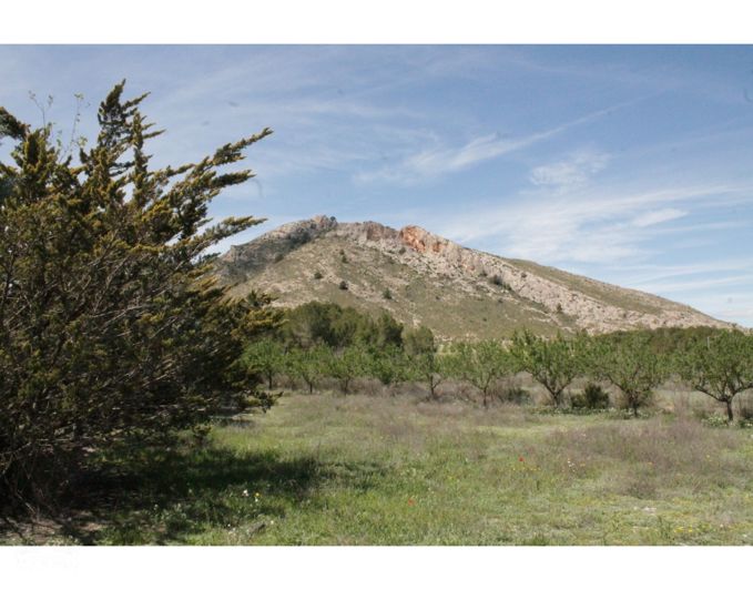 Image No.37-3 Bed Country House for sale