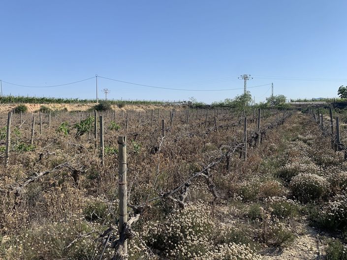 Image No.10-Land for sale